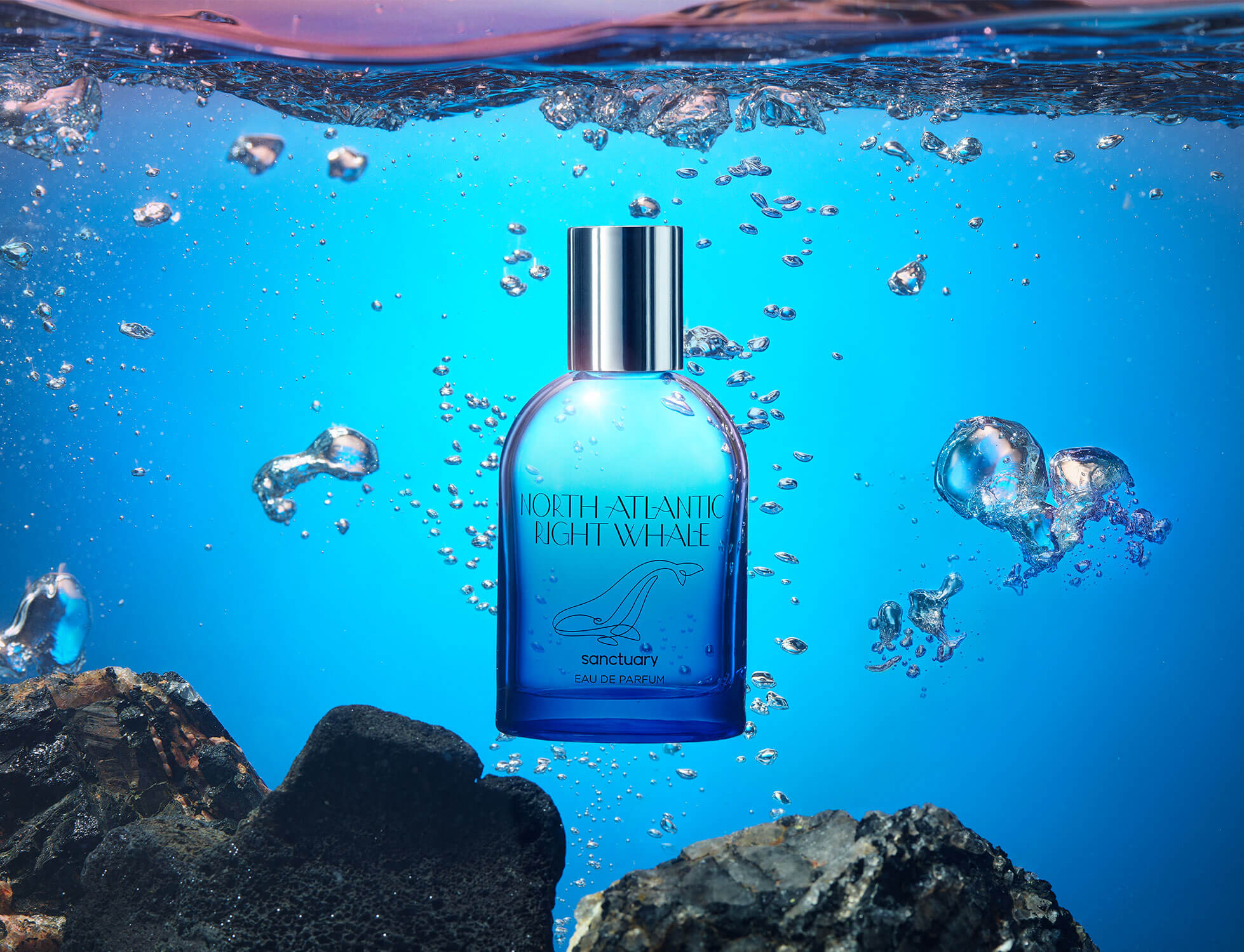 North Atlantic Right Whale Perfume Sanctuary - Main Image