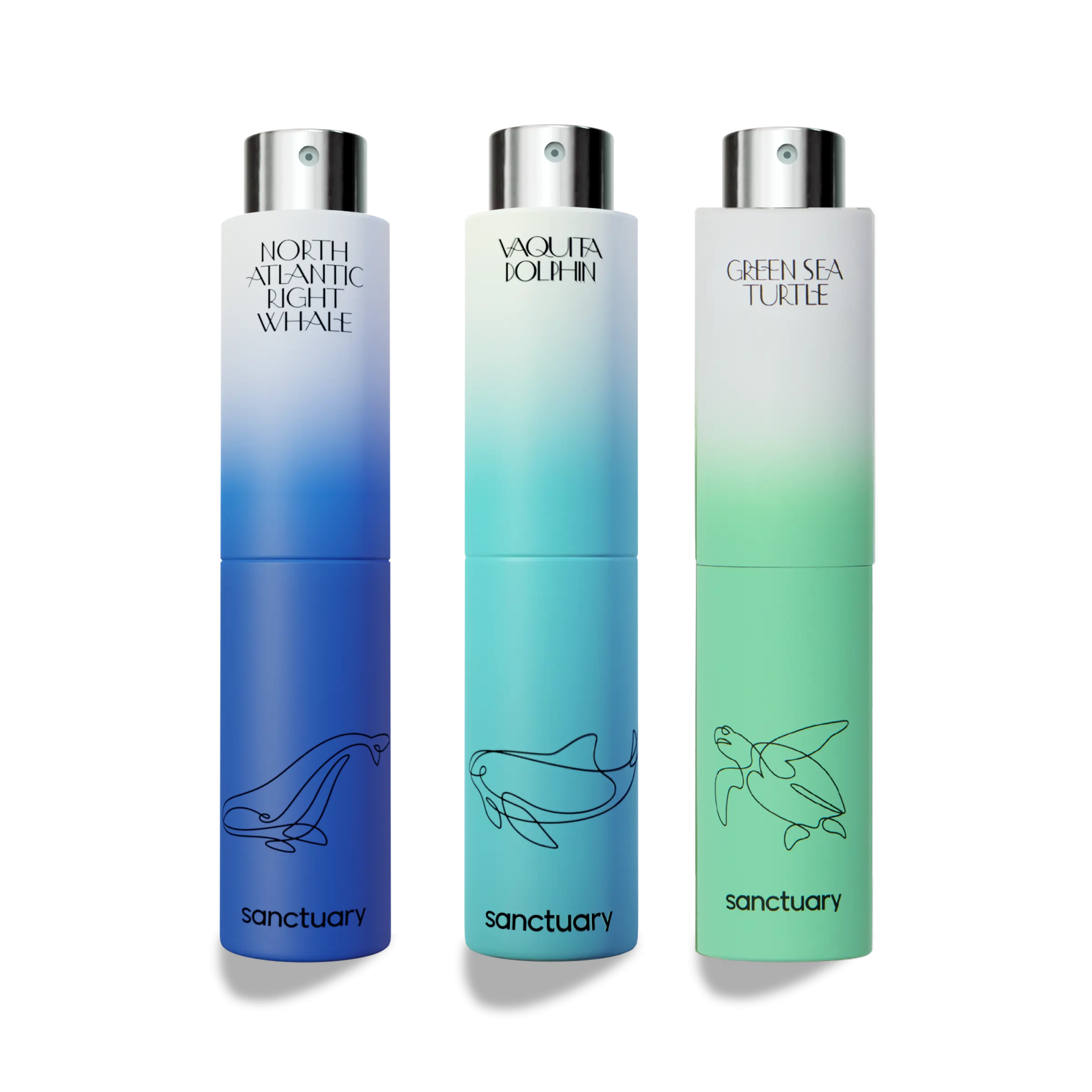 Deep Dive Set – Sanctuary