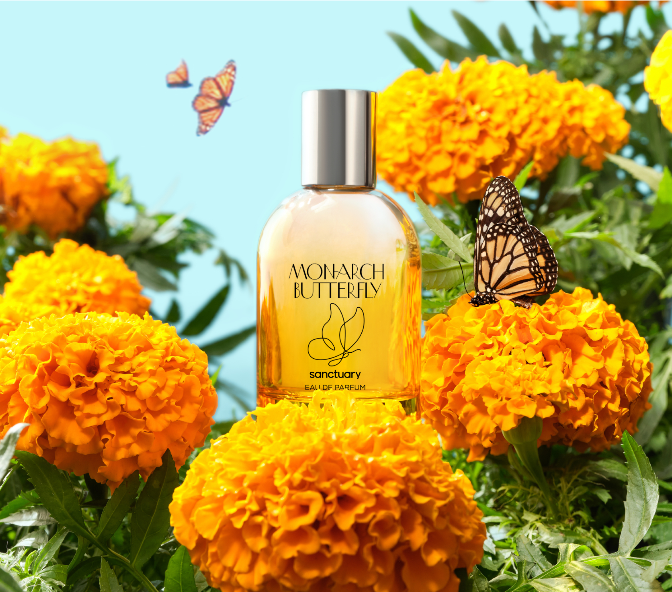 Amur Leopard Red Panda Sanctuary Perfume Moon Bear, Serene And