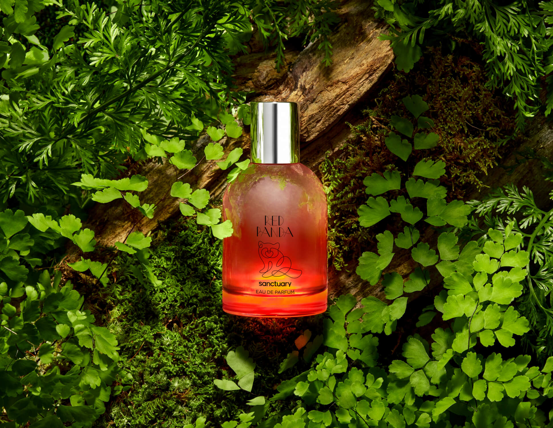 Amur Leopard Red Panda Sanctuary Perfume Moon Bear Sanctuary