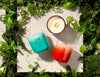 Vaquita Dolphin Candle
