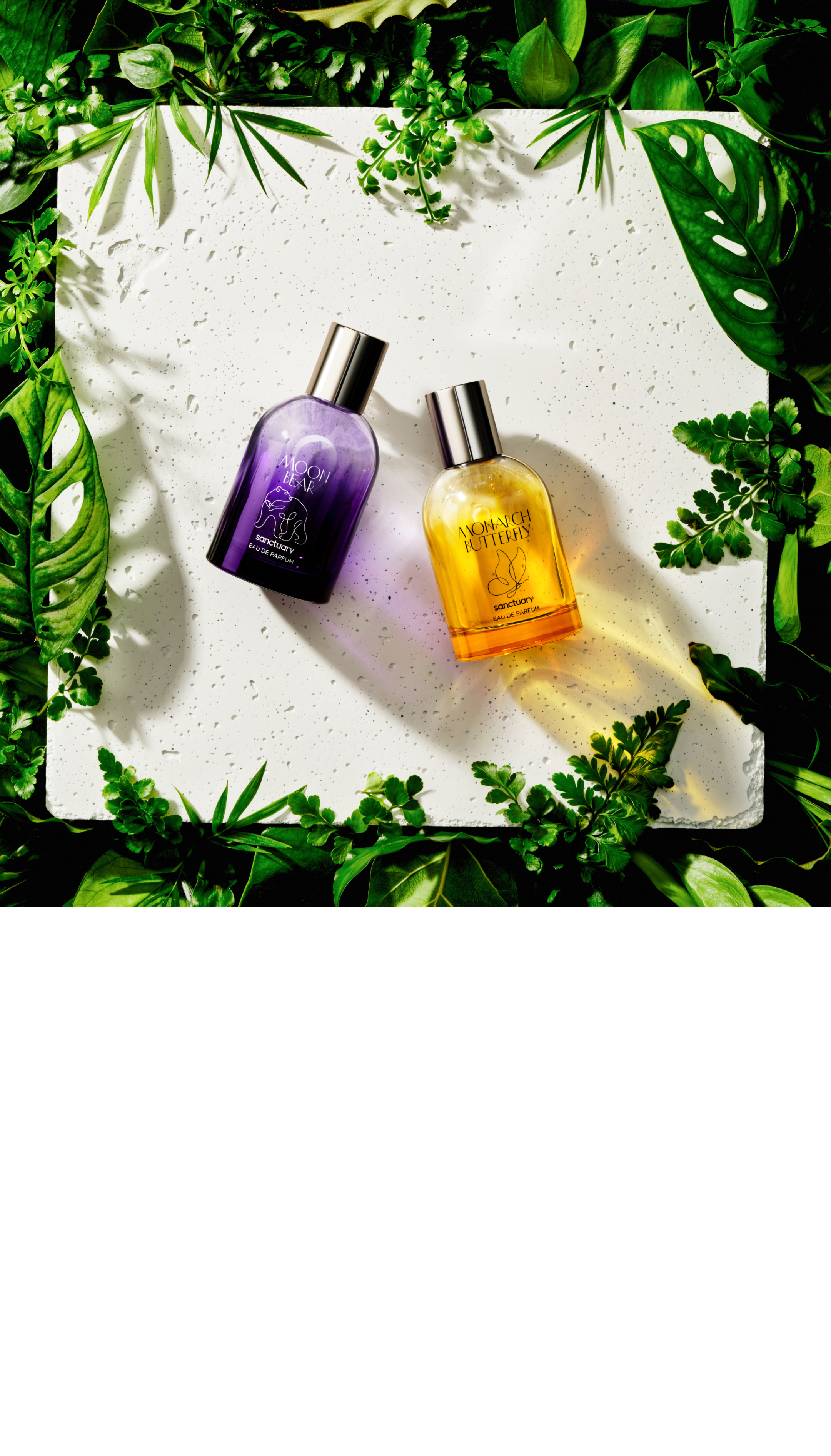 Sanctuary Clean Conscious Sustainable Perfumes