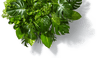 Creating an ecosystem of change