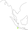 Javan Rhino