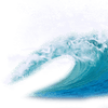 North Atlantic Right Whale